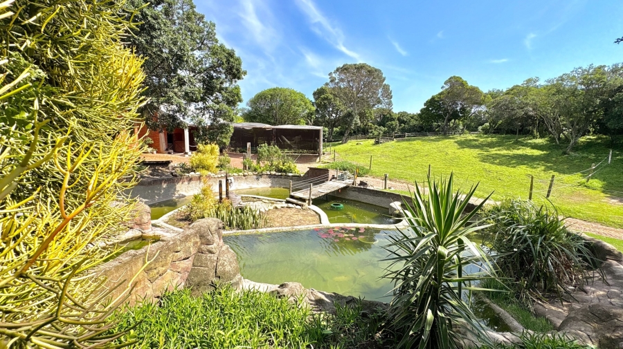 6 Bedroom Property for Sale in Lovemore Park Eastern Cape